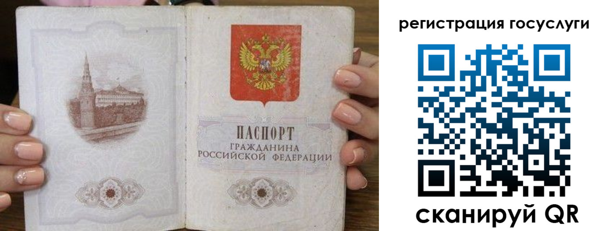 миграционный учет в Дальнегорске